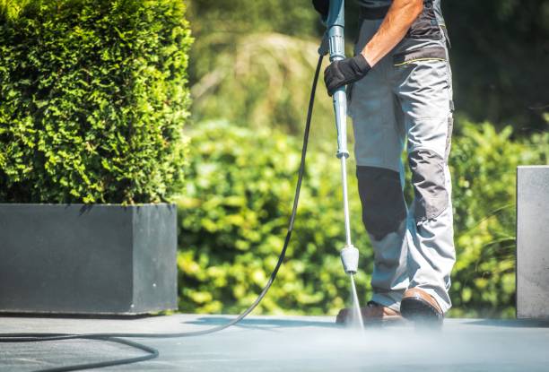 Best Patio and Deck Pressure Washing  in Sour Lake, TX