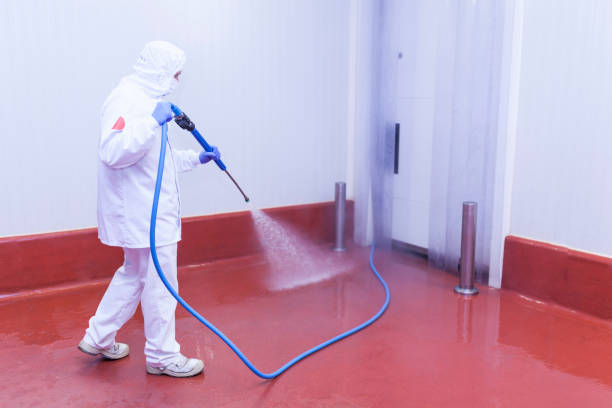 Best Building Exterior Washing  in Sour Lake, TX